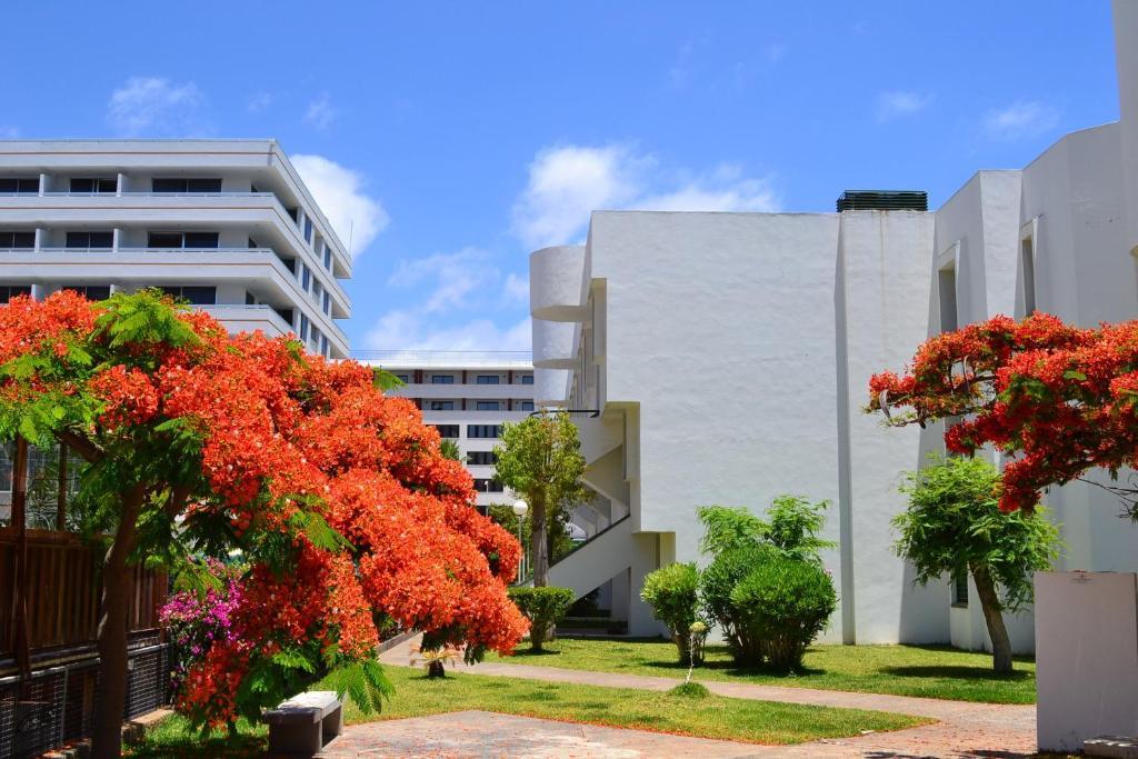 Апарт отель Optimist Tenerife Плая-де-лас-Америкас Экстерьер фото